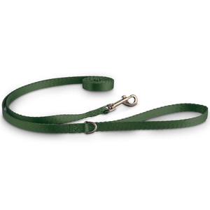 Good2Go Correa de Nylon Color Verde Olivo para Perro Raza Pequeña, 1.8 m