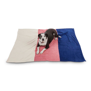 EveryYay Let´s Snuggle Manta Diseño a Rayas para Perro, Multicolor