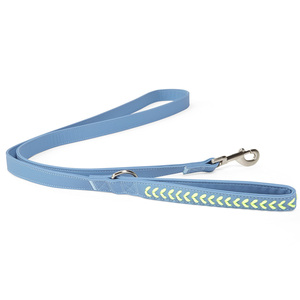 Youly Correa Azul Cuero Sintético con Herraje Plateado para Perro, 1.8 m