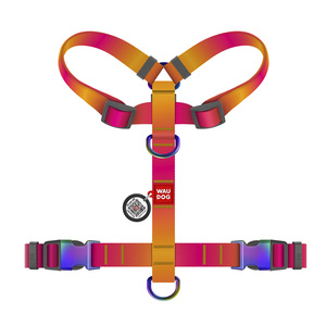 Waudog Nylon Recycled Arnés de Ajuste Romano Diseño Degradado Naranja para Perro, Chico Waudog Nylon Recycled Arnés de Ajuste Romano Diseño Degradado Naranja para Perro, Chico
