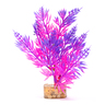 Glofish Decoración Planta Purpura-Rosa, Mediano, Chica Glofish Decoración Planta Purpura-Rosa, Mediano, Chica