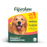 Fiprolex Pipeta Antiparasitaria para Perro Presentación con 3 Piezas, 21 a 40 kg Fiprolex Pipeta Antiparasitaria para Perro Presentación con 3 Piezas, 21 a 40 kg