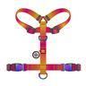 Waudog Nylon Recycled Arnés de Ajuste Romano Diseño Degradado Naranja para Perro, Chico Waudog Nylon Recycled Arnés de Ajuste Romano Diseño Degradado Naranja para Perro, Chico