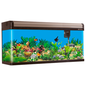 Boyu Acuario Byea100B, 241 L